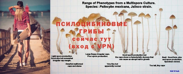 кокс Арсеньев